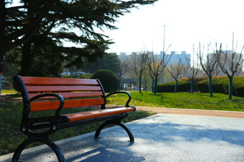 老園新顏 涂色童年記憶，濰坊公園的設(shè)施新生