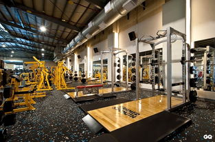 本土健身會館品牌健身工廠正式揮旗進軍中臺灣健身市場，引領(lǐng)健身休閑新風(fēng)潮