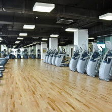 2018年健身器材市場概覽 批發(fā)報價與選購指南（第六頁）